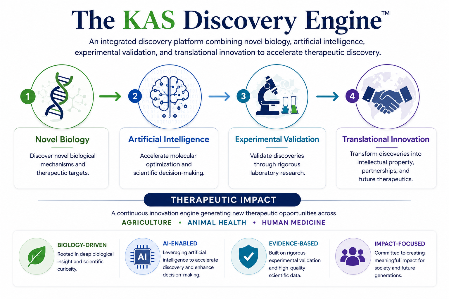 KAS Discovery Engine infographic